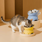 Bol incliné anti-étouffement - chat