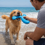 Disque volant flottant - chien