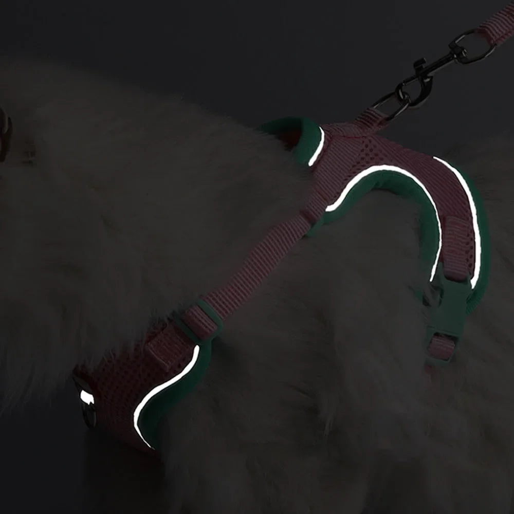 Harnais réfléchissant avec laisse - chat et petit chien