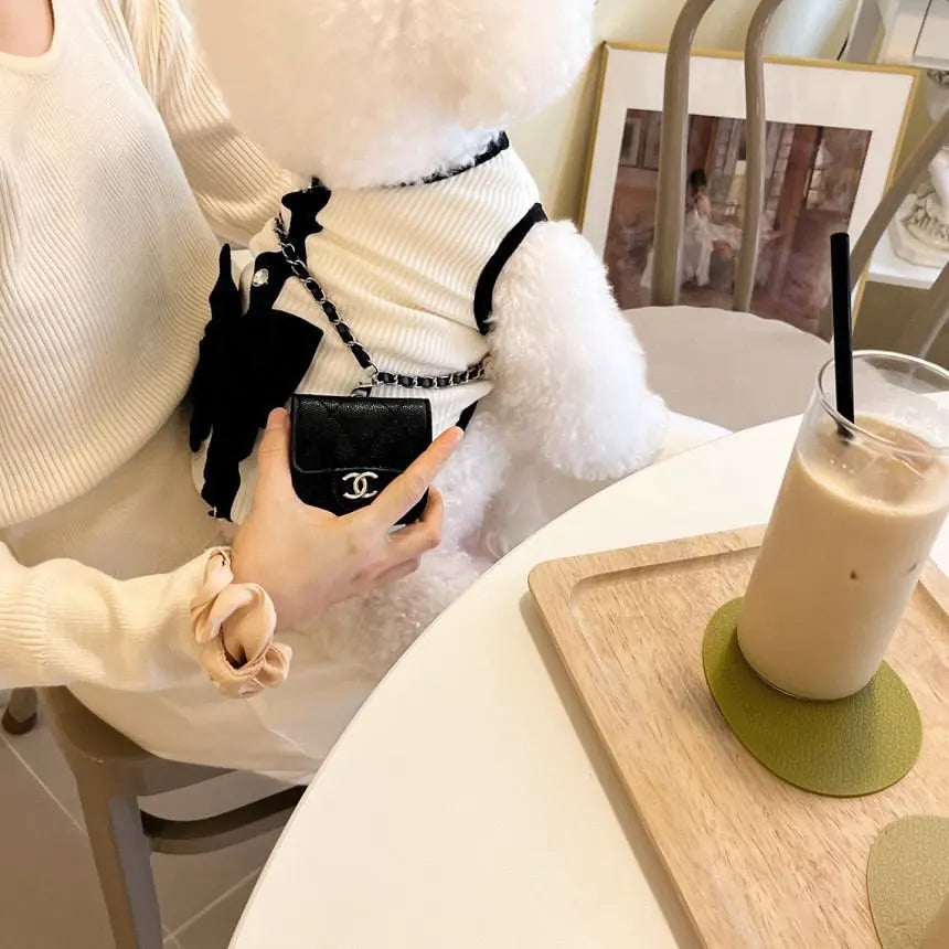 Robe et costume de luxe pour chien et chat