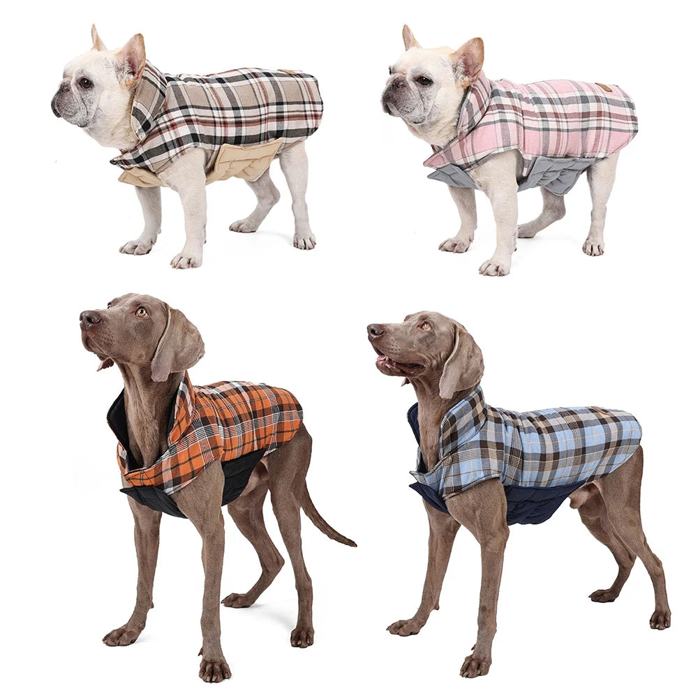 Veste imperméable réversible pour chien