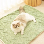 Plaid Cocooning Chat & Chien