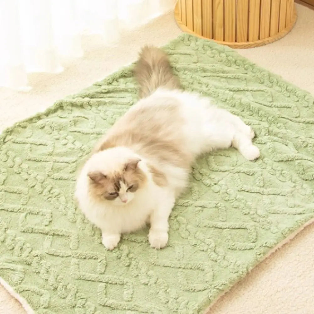 Plaid Cocooning Chat & Chien