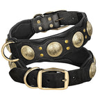 Collier en cuir large premium pour grand chien