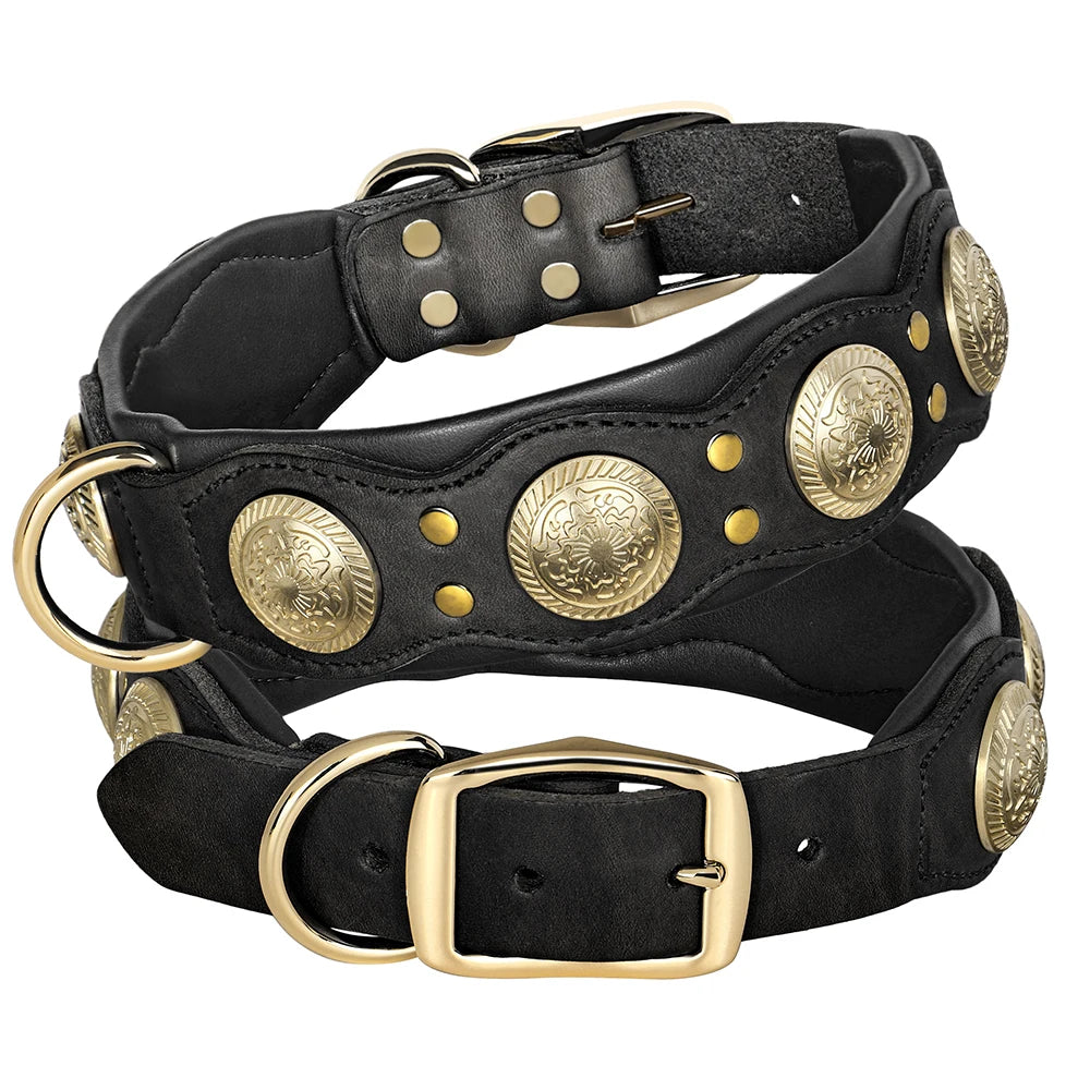 Collier en cuir large premium pour grand chien
