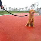 Laisse tressée en nylon pour chien