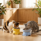 Bol incliné anti-étouffement - chat