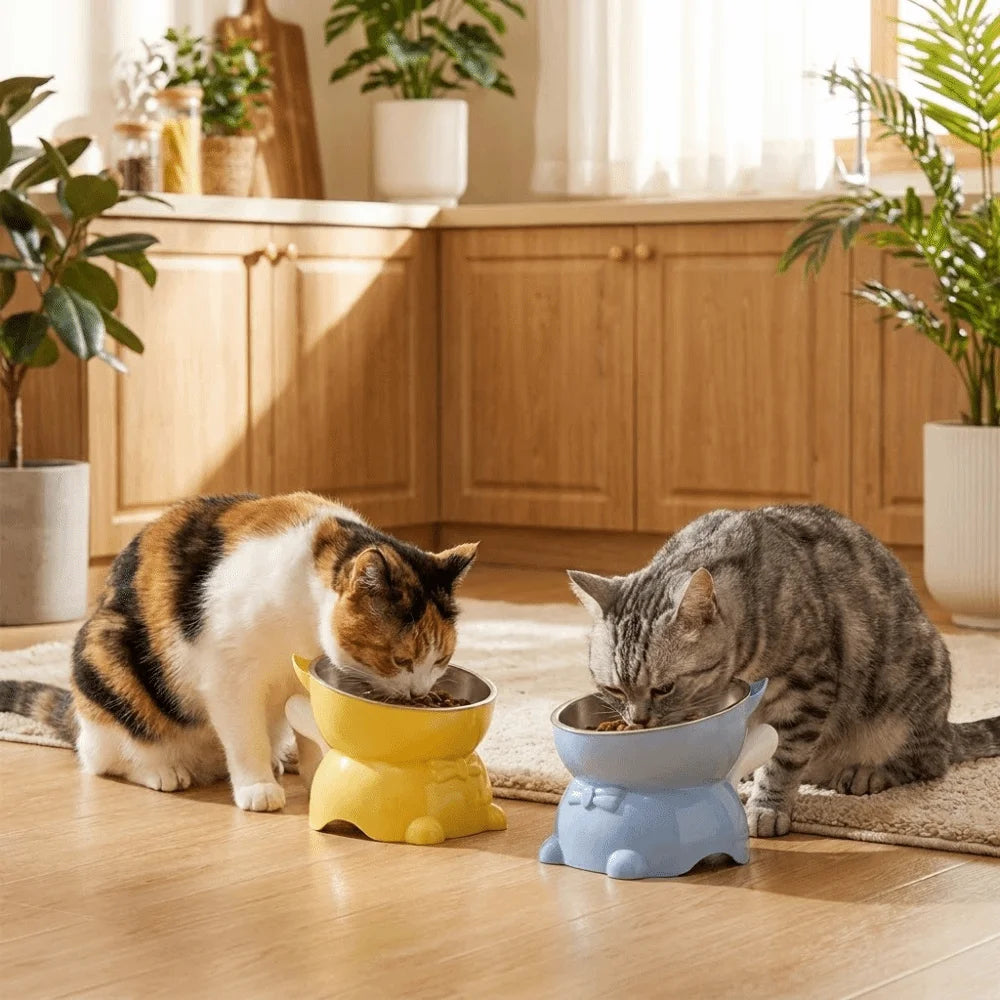 Bol incliné anti-étouffement - chat