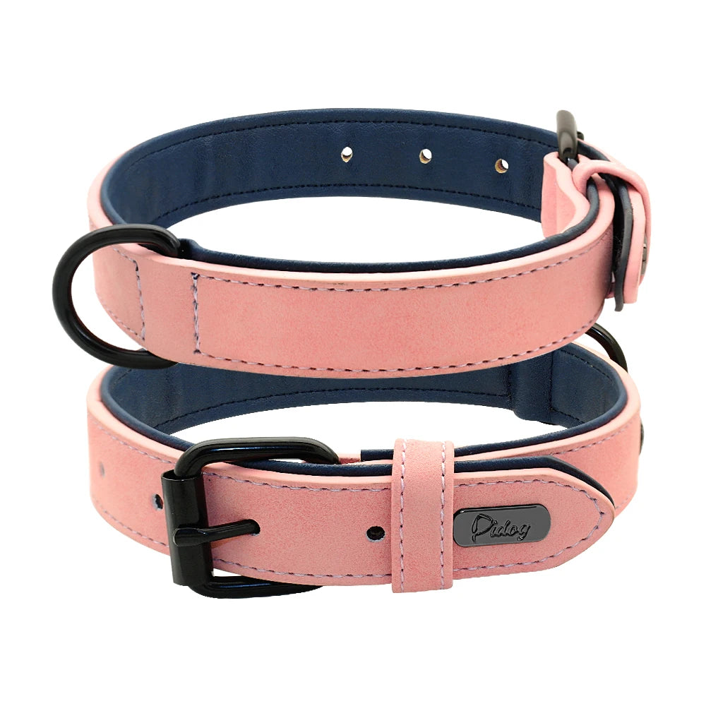 Collier en cuir rembourré – chien