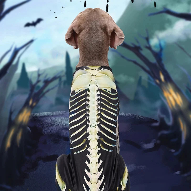Costume squelette Halloween - chien
