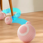 Balle interactive rechargeable pour chat