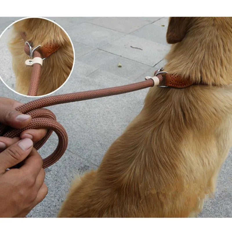 Laisse corde avec collier coulissant réglable pour chien