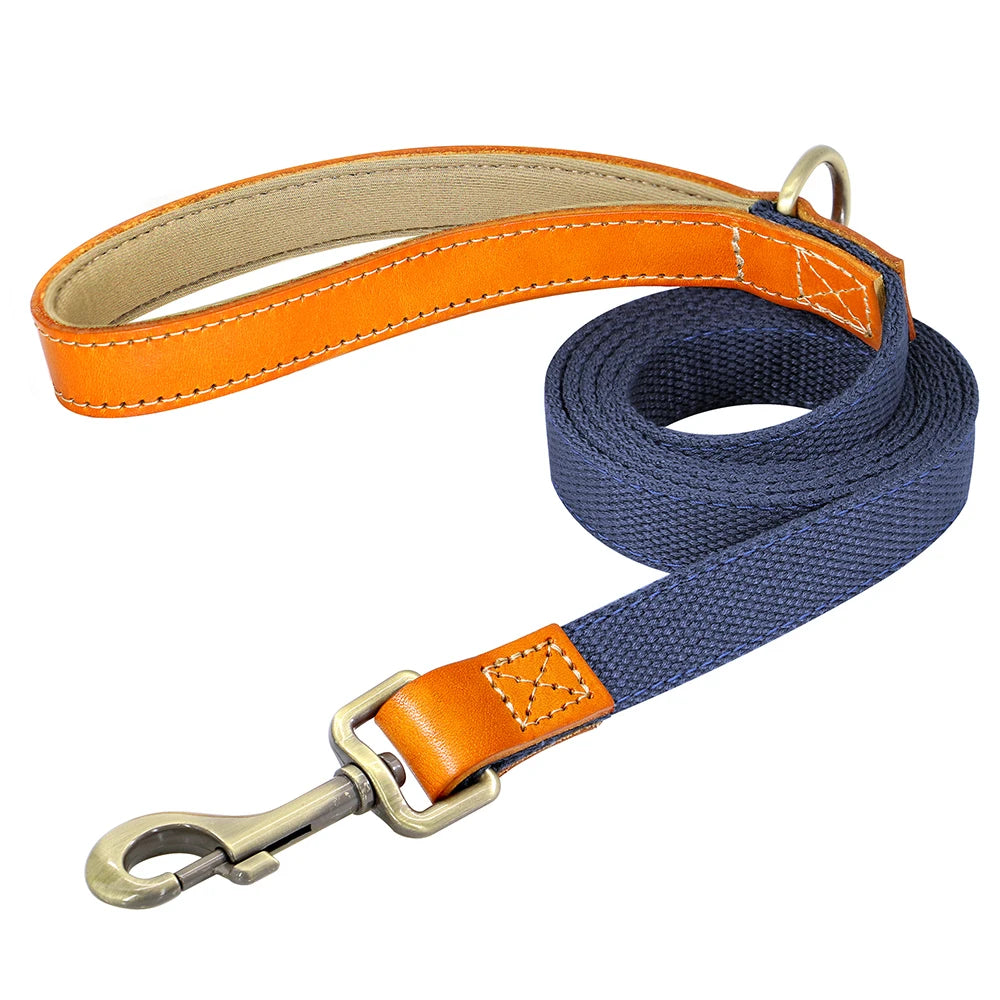 Laisse de marche nylon - chien