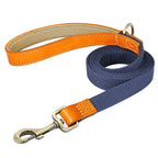 Laisse de marche nylon - chien