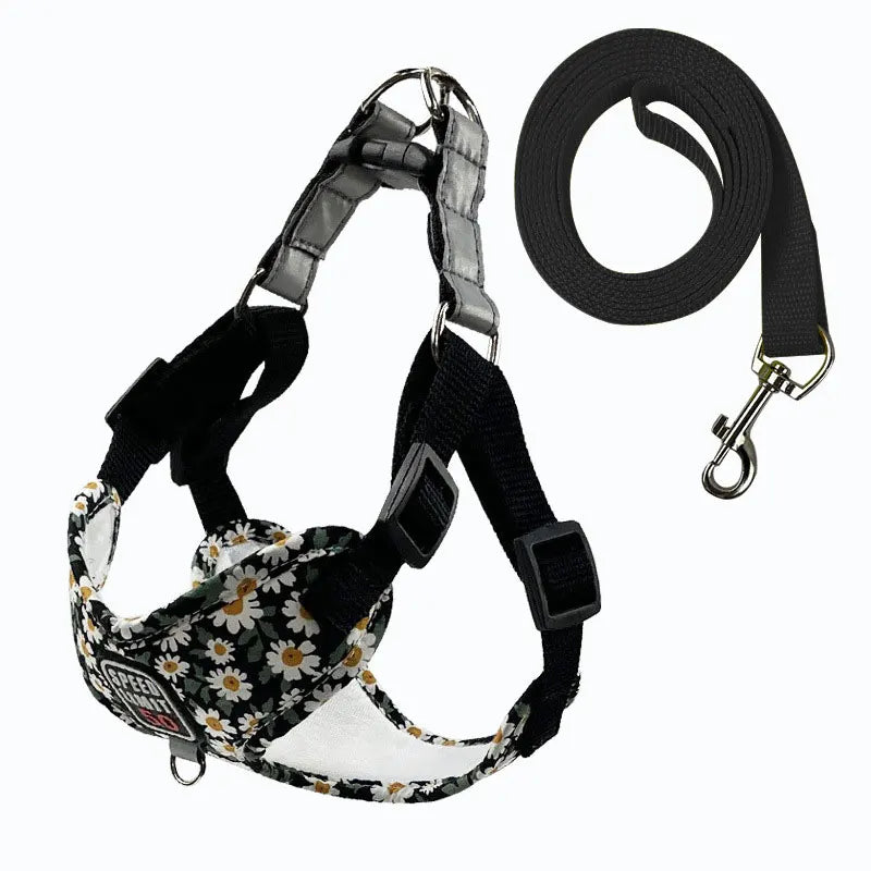 Harnais fleuri avec laisse - chien