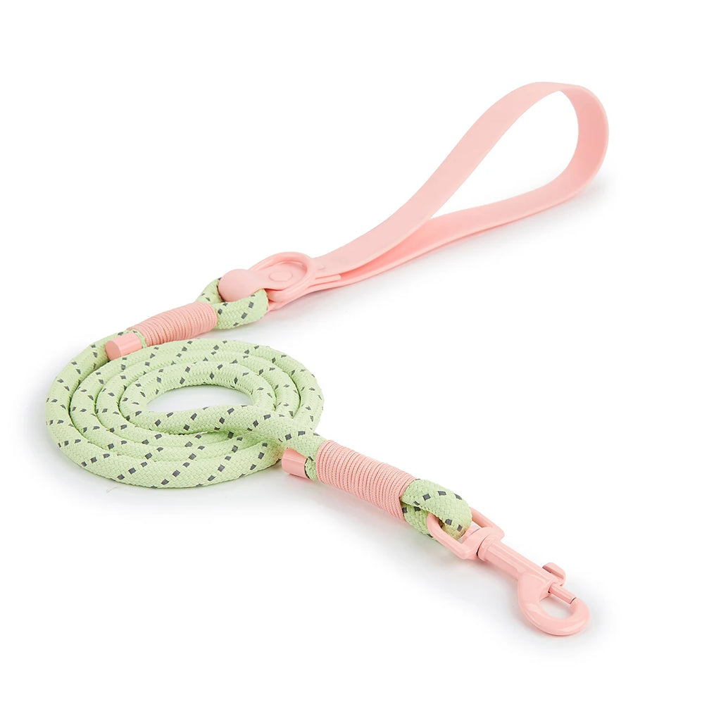 Ensemble Harnais et Laisse Sans Traction PVC pour Chien