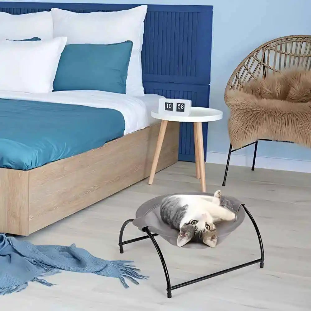 Hamac sur pied - chat et petit chien