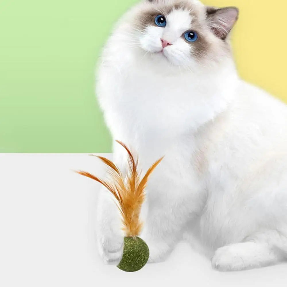 Boule à plumes à l’herbe à chat naturelle pour chat