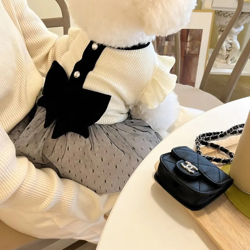 Robe et costume de luxe pour chien et chat