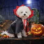 Cape vampire Halloween - chien ou chat