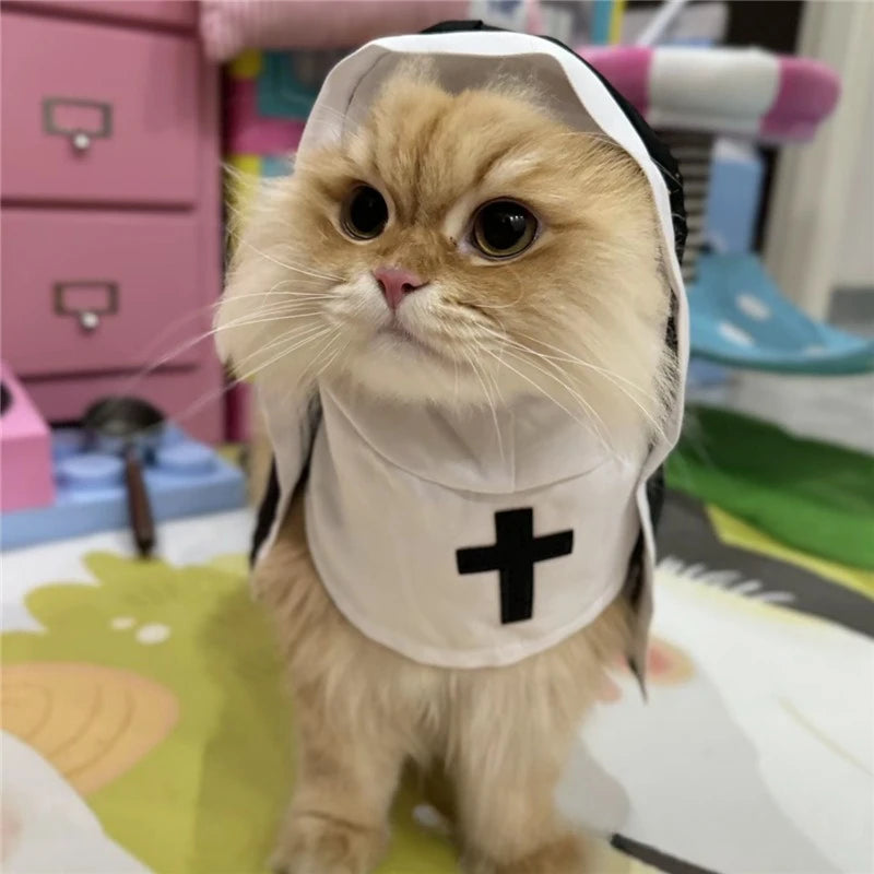 Costume de nonne Halloween - chien ou chat