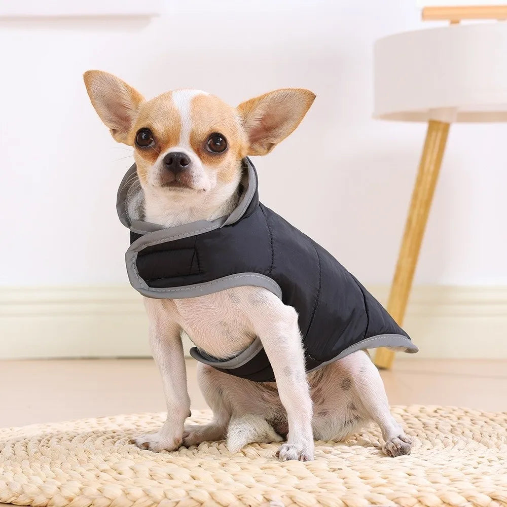 Manteau réversible chaud - chien et chat