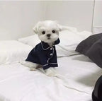 Pyjama d’été élégant pour chien et chat