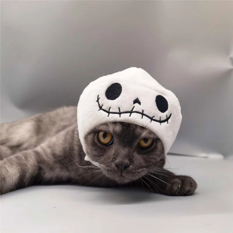 Chapeau Halloween - chat ou petit chien