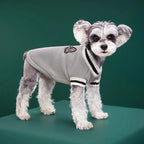 Pull d’hiver col V style collège - chien et chat