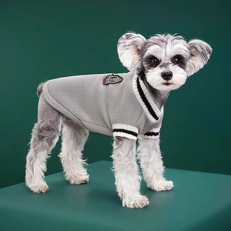 Pull d’hiver col V style collège - chien et chat