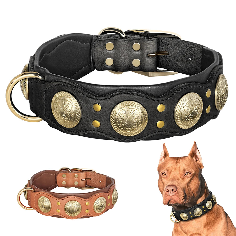 Collier en cuir large premium pour grand chien
