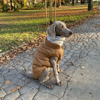 Veste d’Hiver Polaire pour Chien et Chat