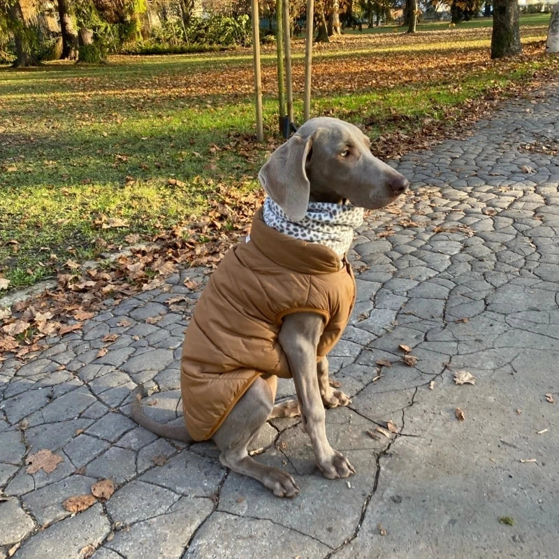 Veste d’Hiver Polaire pour Chien et Chat