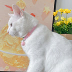 Collier élastique pour chat et petit chien avec cloche amovible