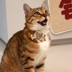 Collier Chat Nœud Papillon Dentelle & Clochette