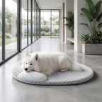 Coussin rafraîchissant avec oreiller - chien et chat