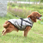 Manteau d’hiver hydrofuge pour chien