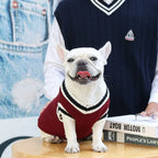 Pull d’hiver col V style collège - chien et chat