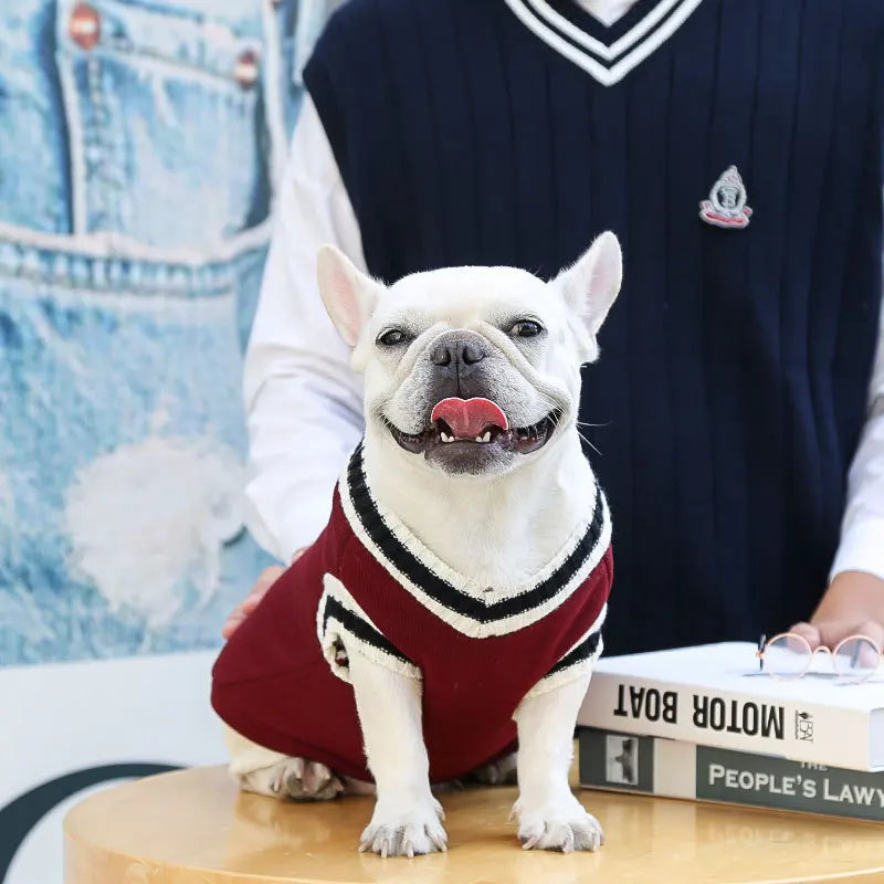 Pull d’hiver col V style collège - chien et chat