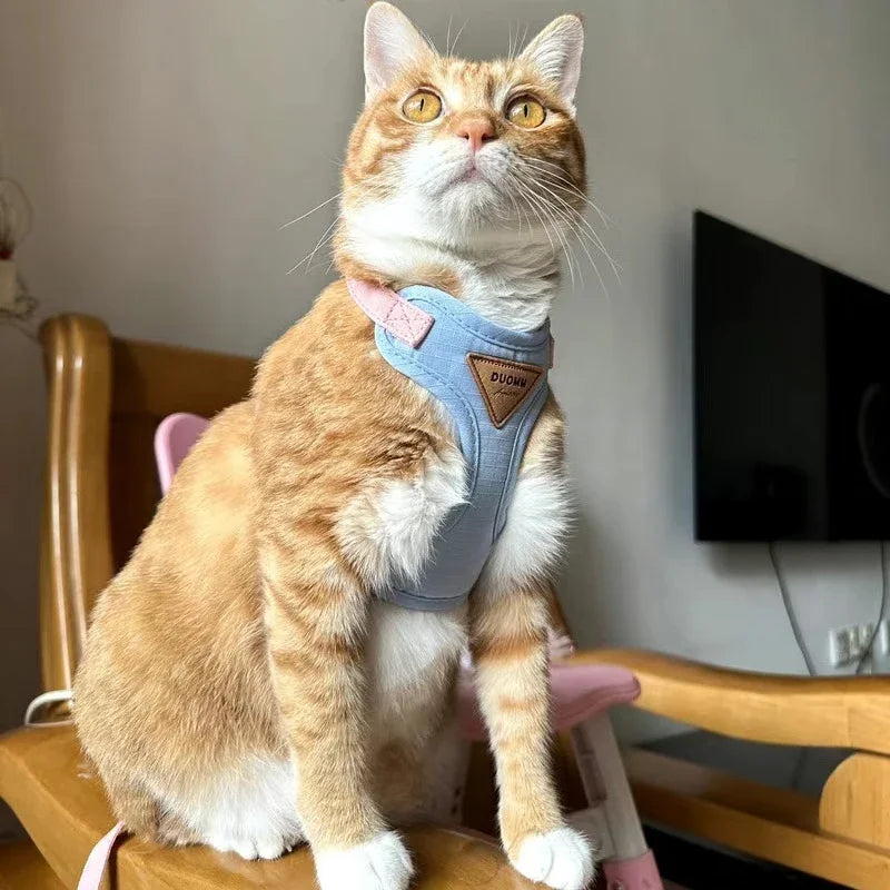 Harnais respirant avec laisse pour chats et petits chiens
