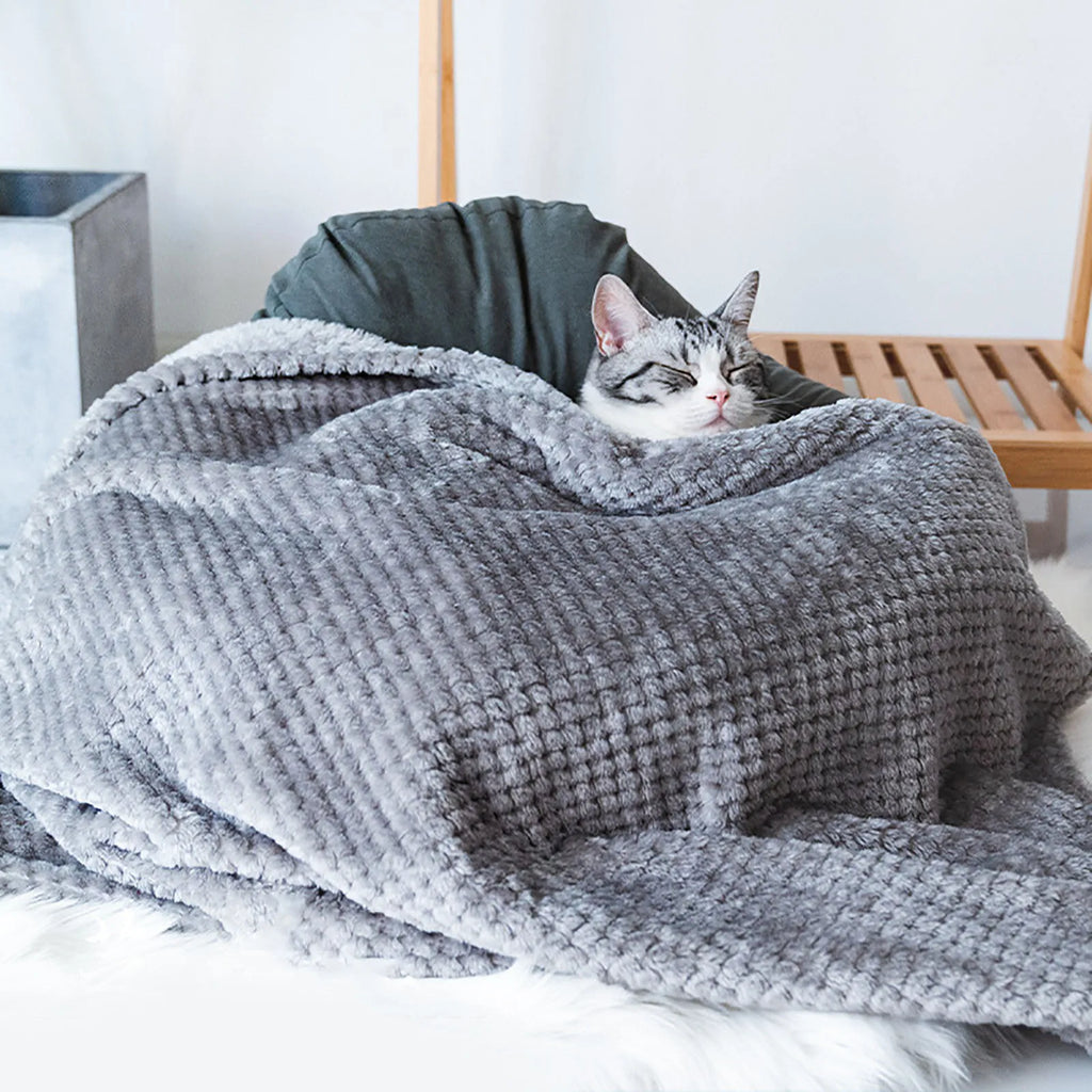 Plaid doux uni pour chien et chat