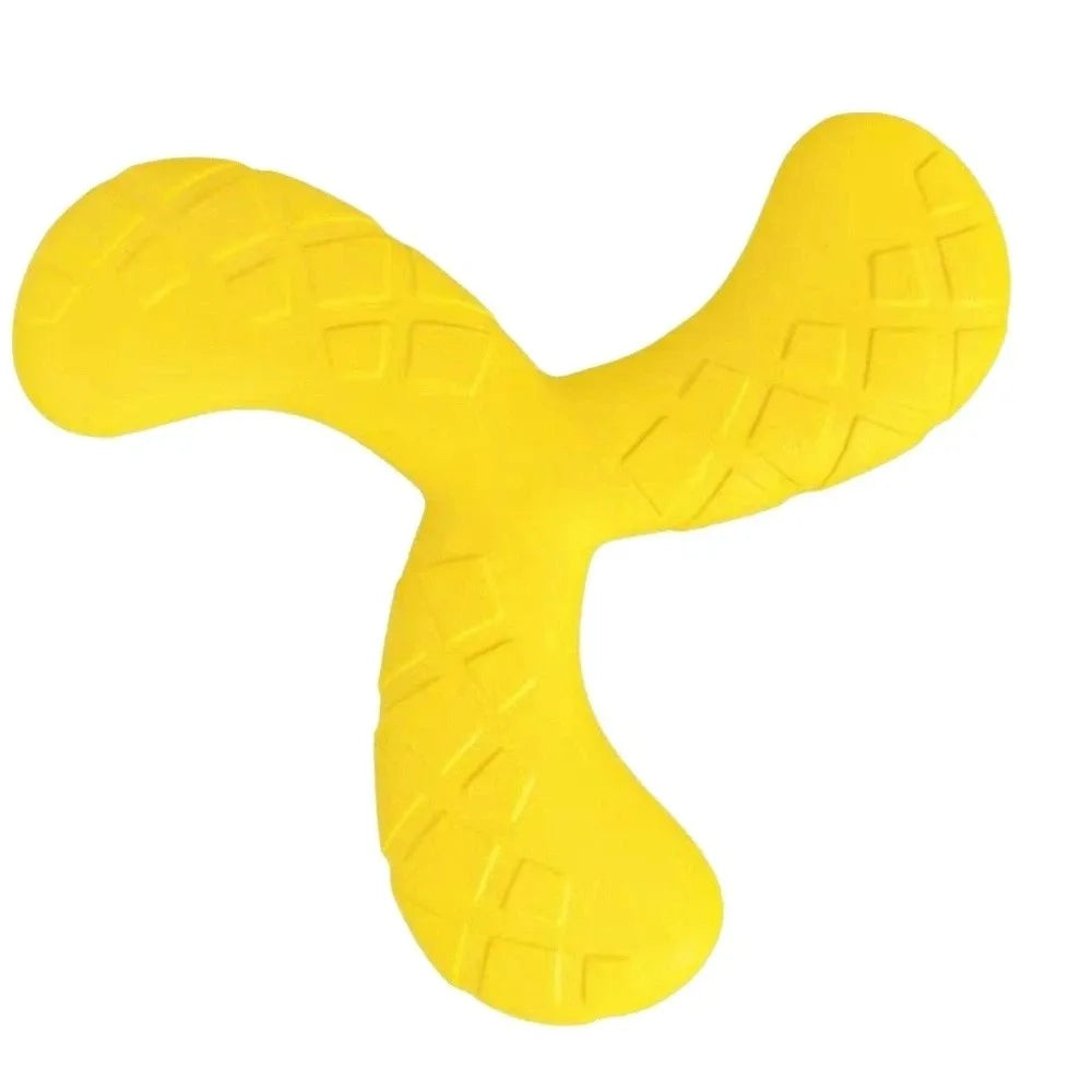 Disque volant flottant - chien