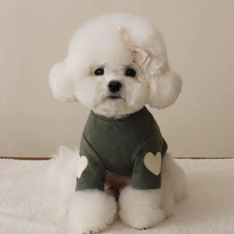 Pull chaud - chien ou chat