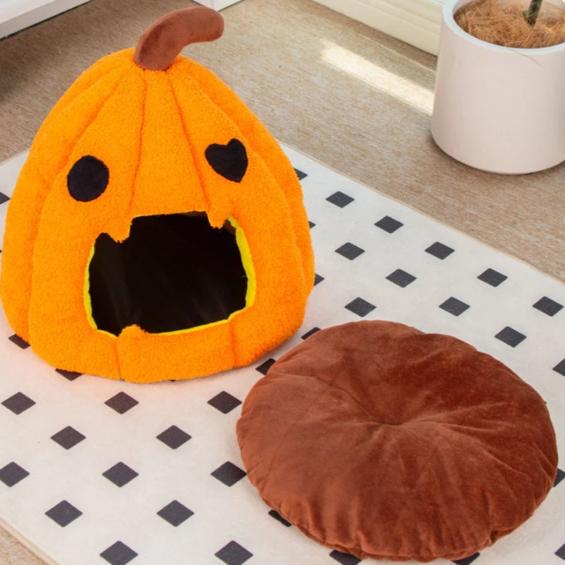 Nid citrouille Halloween - chat et petit chien