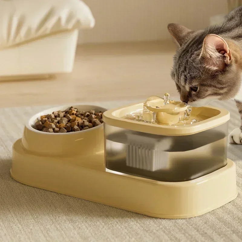 Fontaine à eau 2-en-1 pour chat avec bol intégré