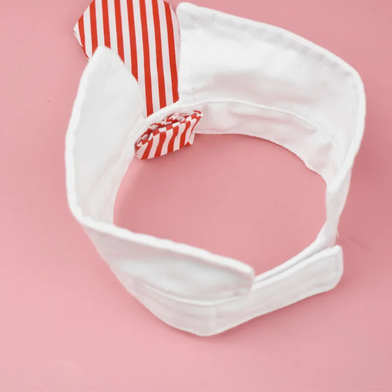 Collier cravate rayé pour chat et petit chien
