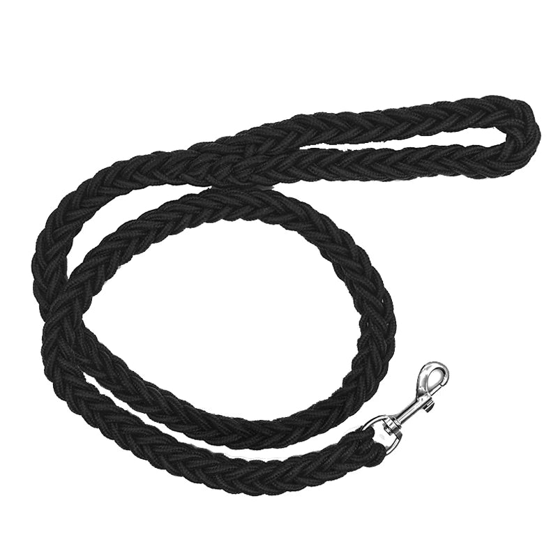 Laisse tressée en nylon pour chien