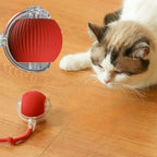 Balle interactive rechargeable pour chien & chat