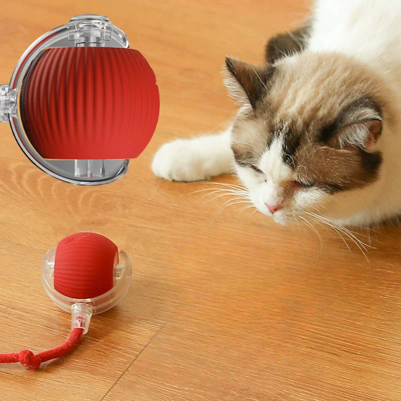 Balle interactive rechargeable pour chien & chat