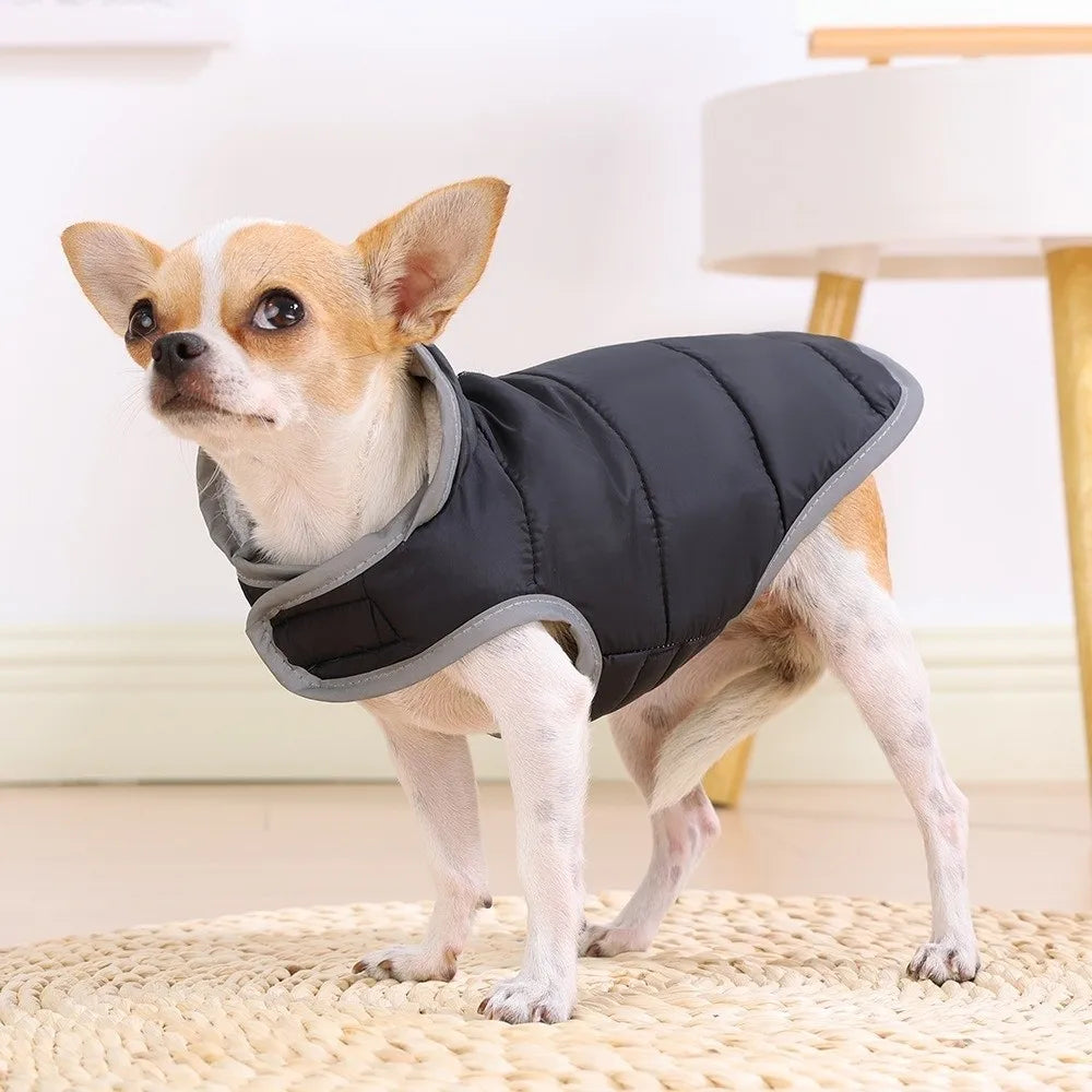 Manteau réversible chaud - chien et chat
